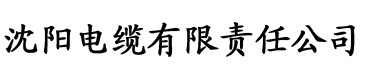 九色综合狠狠综合久久电缆厂logo